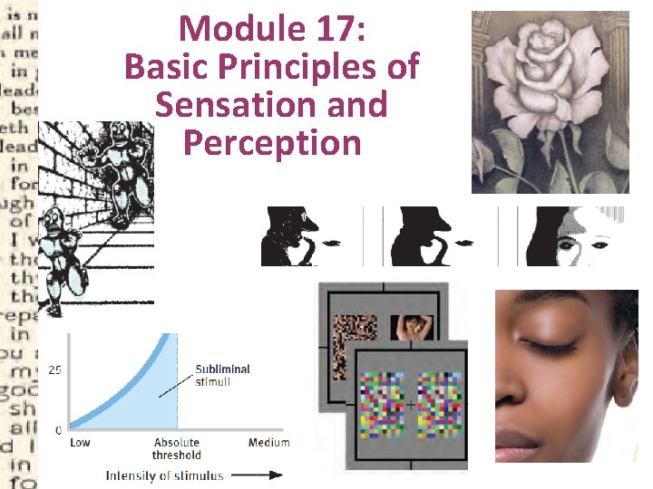 Module 17: Basic Principles of Sensation and Perception 