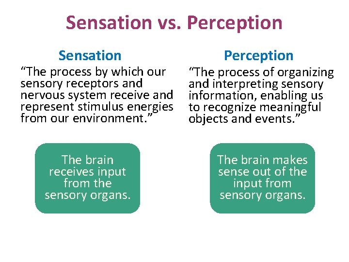 Sensation vs. Perception Sensation “The process by which our sensory receptors and nervous system
