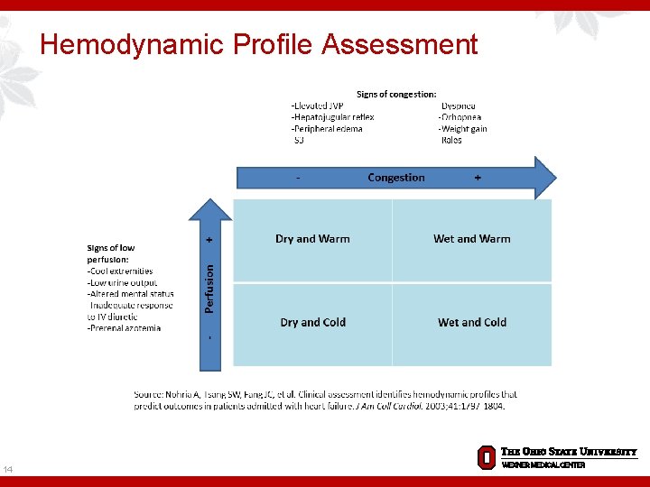 Hemodynamic Profile Assessment 14 