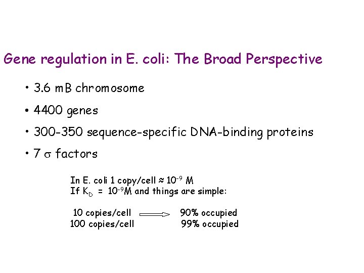 Gene regulation in E. coli: The Broad Perspective • 3. 6 m. B chromosome