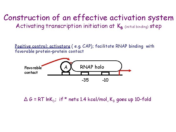 Construction of an effective activation system Activating transcription initiation at KB (initial binding) step