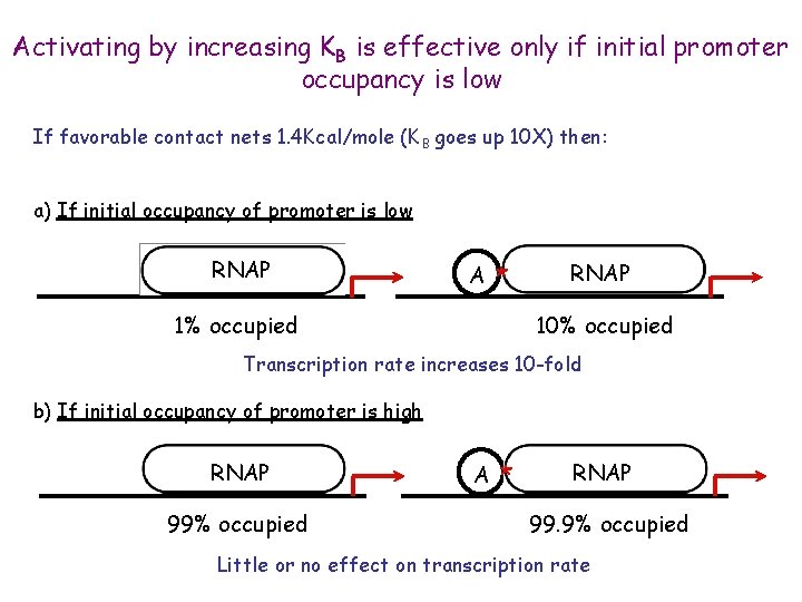 Activating by increasing KB is effective only if initial promoter occupancy is low If