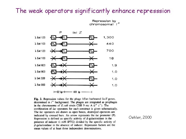 The weak operators significantly enhance represssion Oehler, 2000 