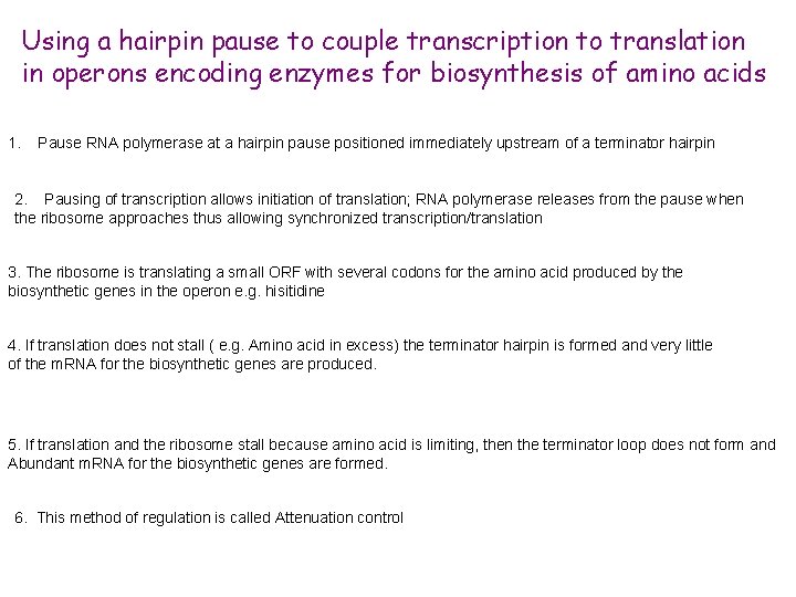 Using a hairpin pause to couple transcription to translation in operons encoding enzymes for