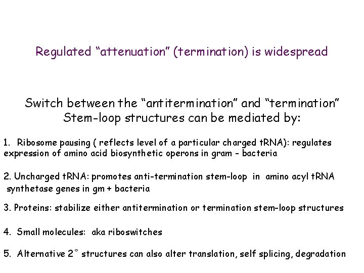 Regulated “attenuation” (termination) is widespread Switch between the “antitermination” and “termination” Stem-loop structures can
