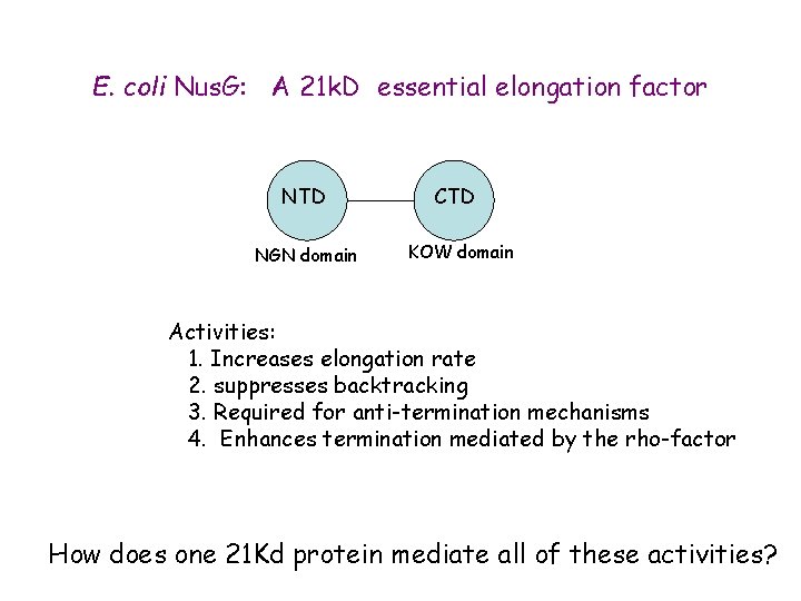E. coli Nus. G: A 21 k. D essential elongation factor NTD NGN domain