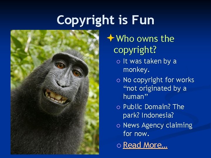 Copyright is Fun Who owns the copyright? It was taken by a monkey. No