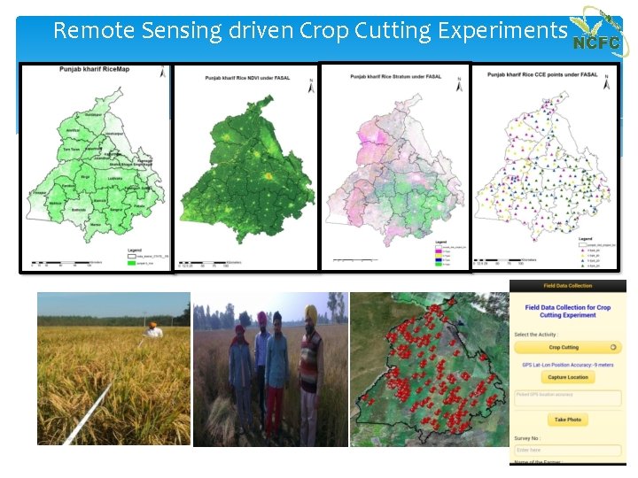 Remote Sensing driven Crop Cutting Experiments 