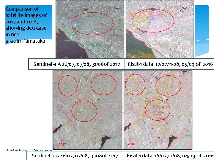 Comparison of satellite images of 2017 and 2016, showing decrease in rice area in