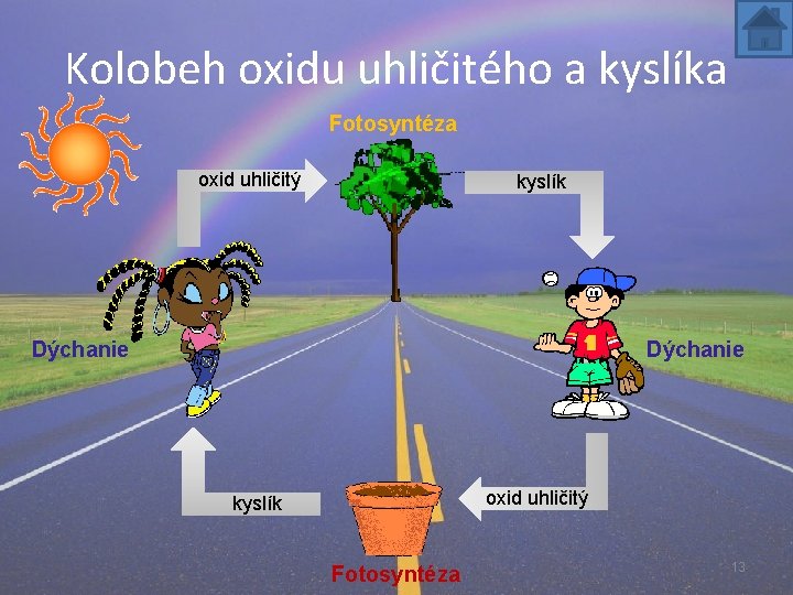 Kolobeh oxidu uhličitého a kyslíka Fotosyntéza oxid uhličitý kyslík Dýchanie oxid uhličitý kyslík Fotosyntéza