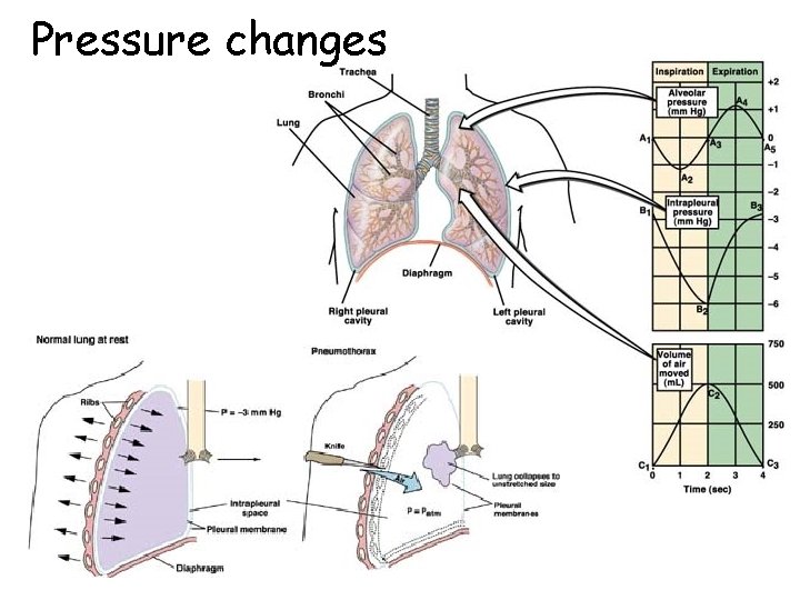 Pressure changes 