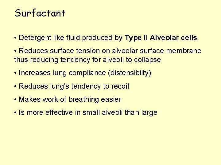 Surfactant • Detergent like fluid produced by Type II Alveolar cells • Reduces surface