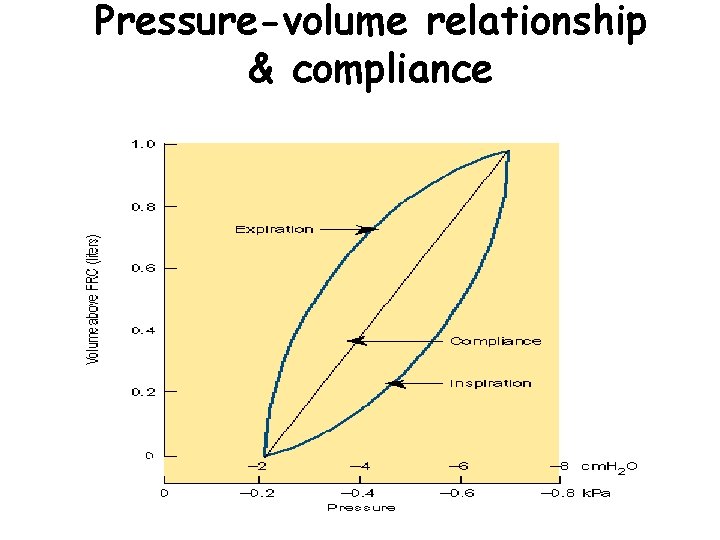 Pressure-volume relationship & compliance 