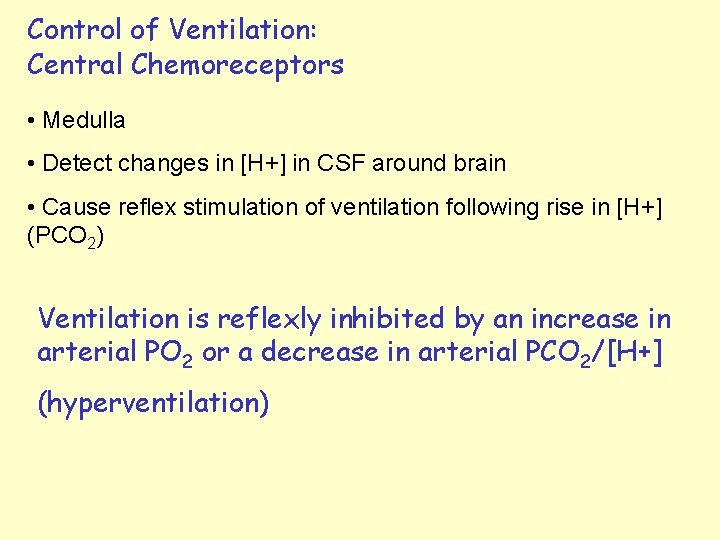 Control of Ventilation: Central Chemoreceptors • Medulla • Detect changes in [H+] in CSF