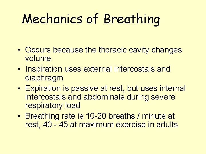 Mechanics of Breathing • Occurs because thoracic cavity changes volume • Inspiration uses external