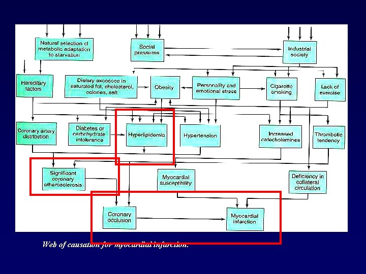 Web of causation for myocardial infarction. 