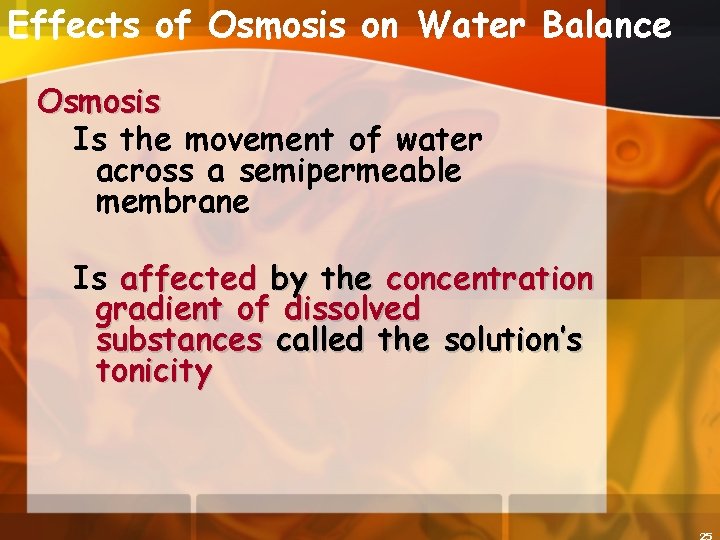 Effects of Osmosis on Water Balance Osmosis Is the movement of water across a