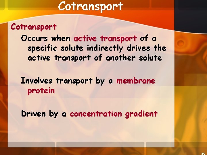 Cotransport Occurs when active transport of a specific solute indirectly drives the active transport