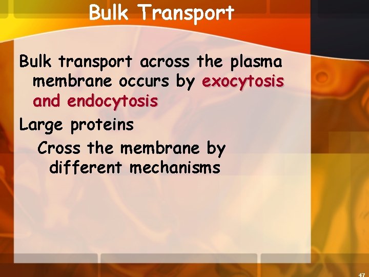 Bulk Transport Bulk transport across the plasma membrane occurs by exocytosis and endocytosis Large