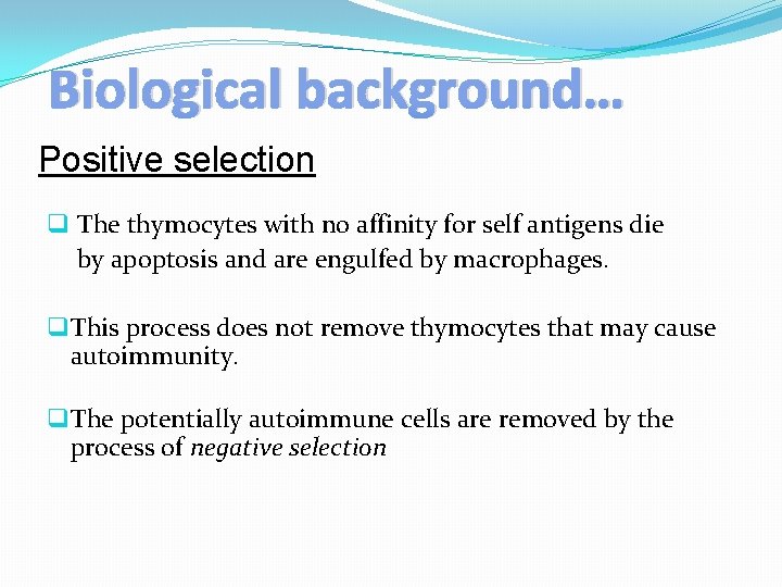 Biological background… Positive selection q The thymocytes with no affinity for self antigens die