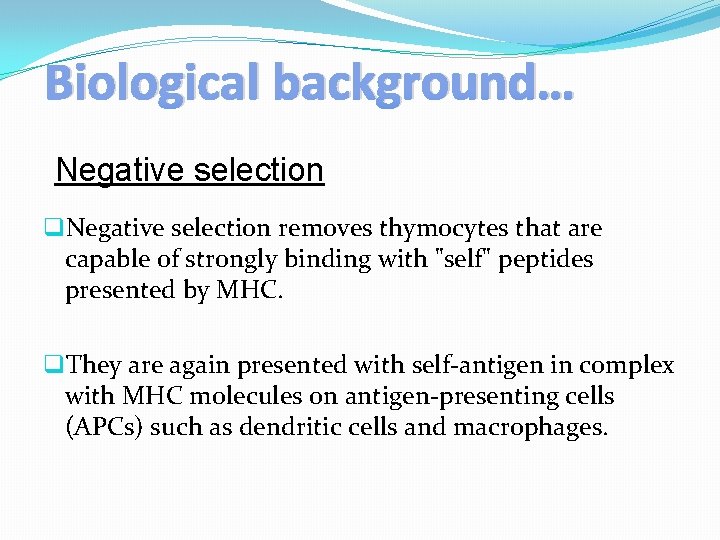Biological background… Negative selection q. Negative selection removes thymocytes that are capable of strongly