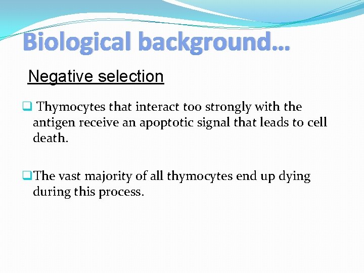 Biological background… Negative selection q Thymocytes that interact too strongly with the antigen receive