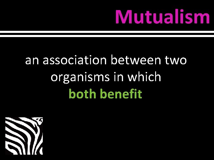 Mutualism an association between two organisms in which both benefit 
