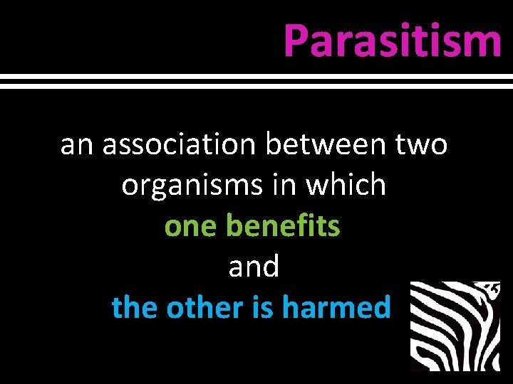 Parasitism an association between two organisms in which one benefits and the other is