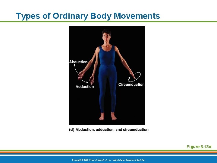 Types of Ordinary Body Movements Figure 6. 13 d Copyright © 2009 Pearson Education,