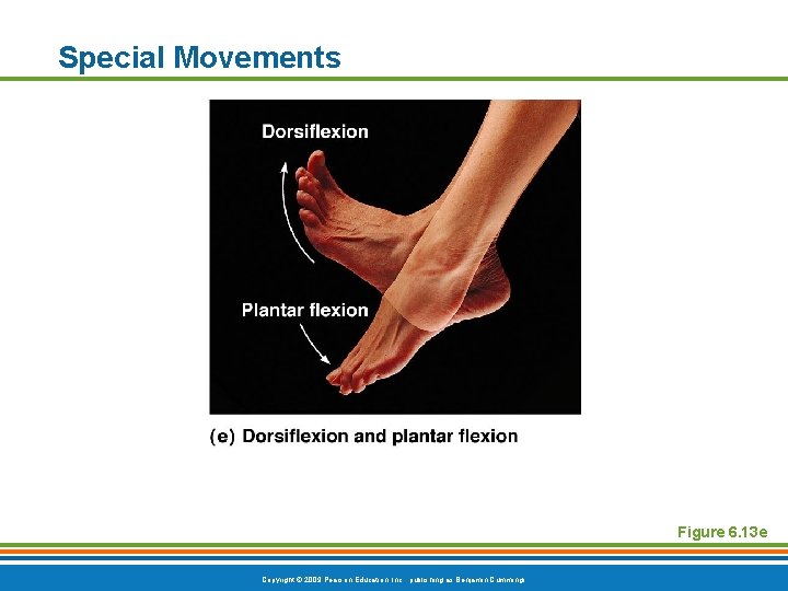 Special Movements Figure 6. 13 e Copyright © 2009 Pearson Education, Inc. , publishing