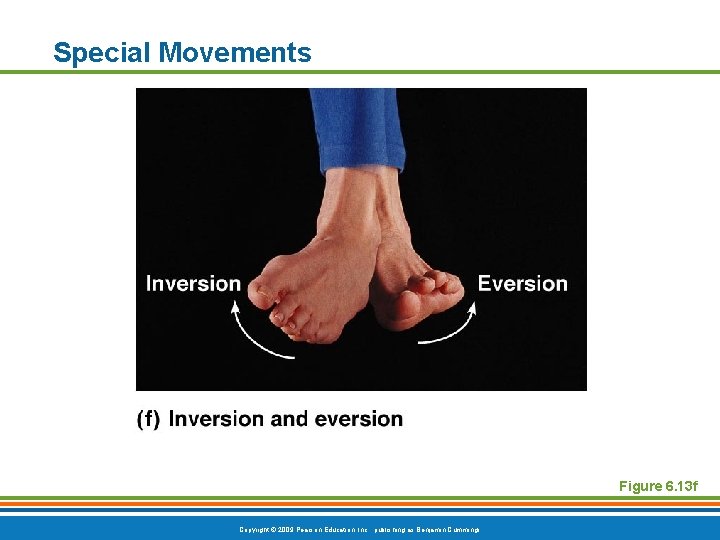 Special Movements Figure 6. 13 f Copyright © 2009 Pearson Education, Inc. , publishing