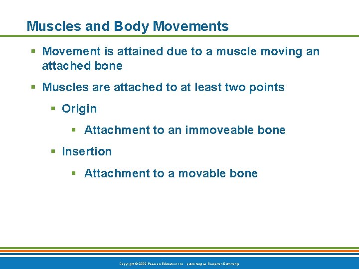 Muscles and Body Movements § Movement is attained due to a muscle moving an