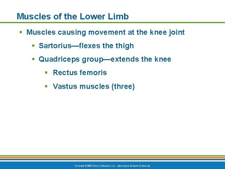 Muscles of the Lower Limb § Muscles causing movement at the knee joint §