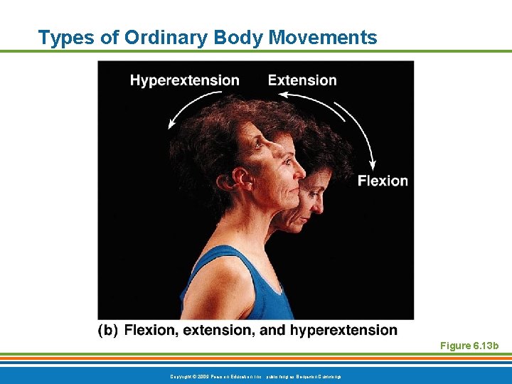 Types of Ordinary Body Movements Figure 6. 13 b Copyright © 2009 Pearson Education,