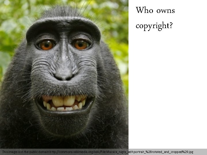 Who owns copyright? This image is in the public domain http: //commons. wikimedia. org/wiki/File: