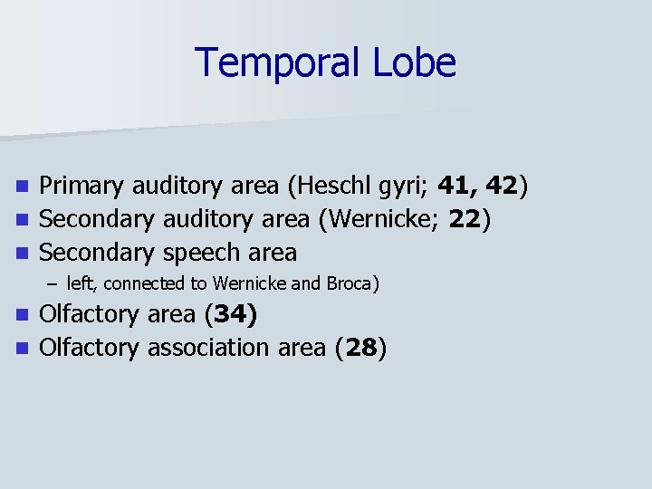 Temporal Lobe Primary auditory area (Heschl gyri; 41, 42) n Secondary auditory area (Wernicke;