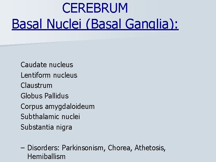 CEREBRUM Basal Nuclei (Basal Ganglia): Caudate nucleus Lentiform nucleus Claustrum Globus Pallidus Corpus amygdaloideum