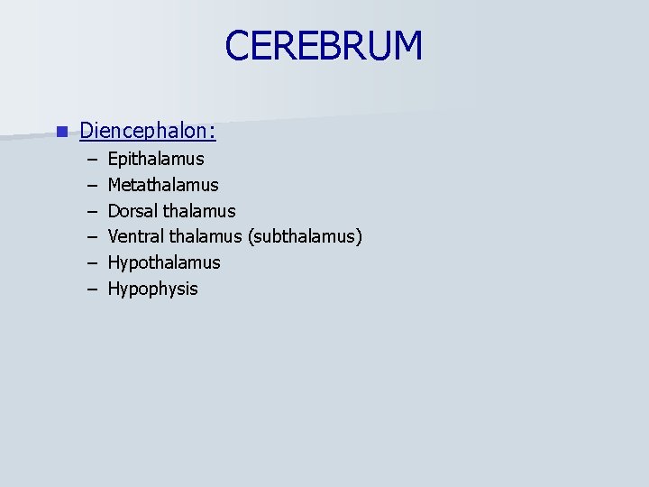 CEREBRUM n Diencephalon: – – – Epithalamus Metathalamus Dorsal thalamus Ventral thalamus (subthalamus) Hypothalamus