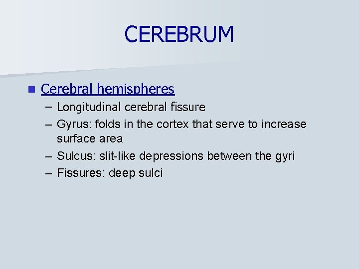 CEREBRUM n Cerebral hemispheres – Longitudinal cerebral fissure – Gyrus: folds in the cortex