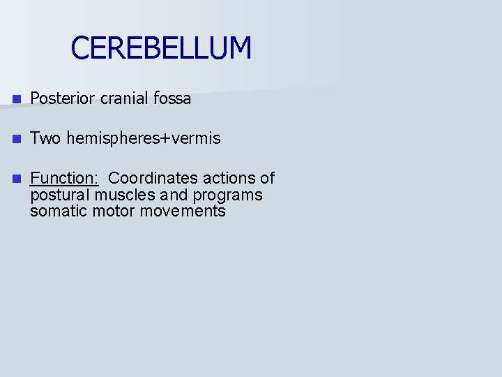 CEREBELLUM n Posterior cranial fossa n Two hemispheres+vermis n Function: Coordinates actions of postural