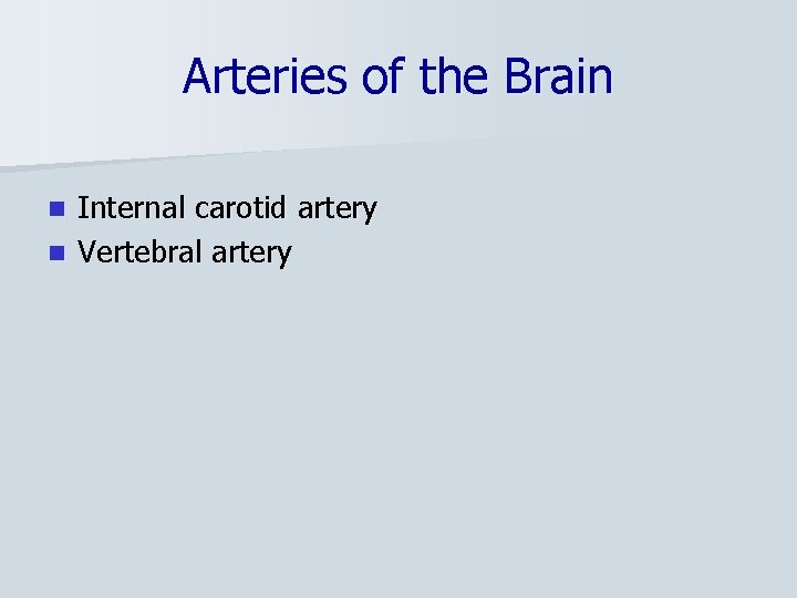 Arteries of the Brain Internal carotid artery n Vertebral artery n 