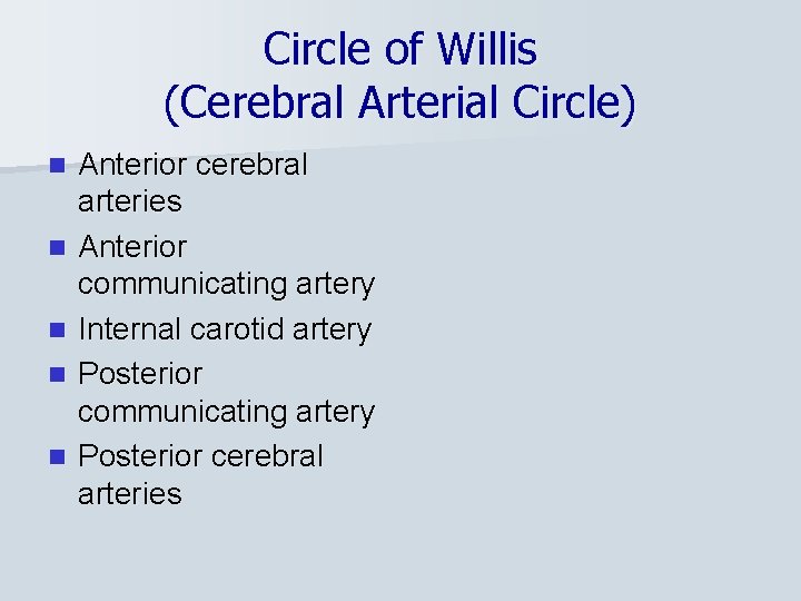 Circle of Willis (Cerebral Arterial Circle) n n n Anterior cerebral arteries Anterior communicating