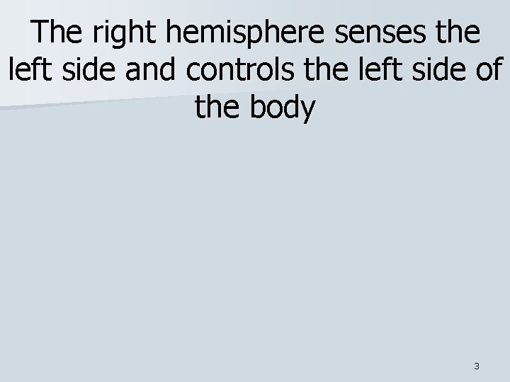 The right hemisphere senses the left side and controls the left side of the