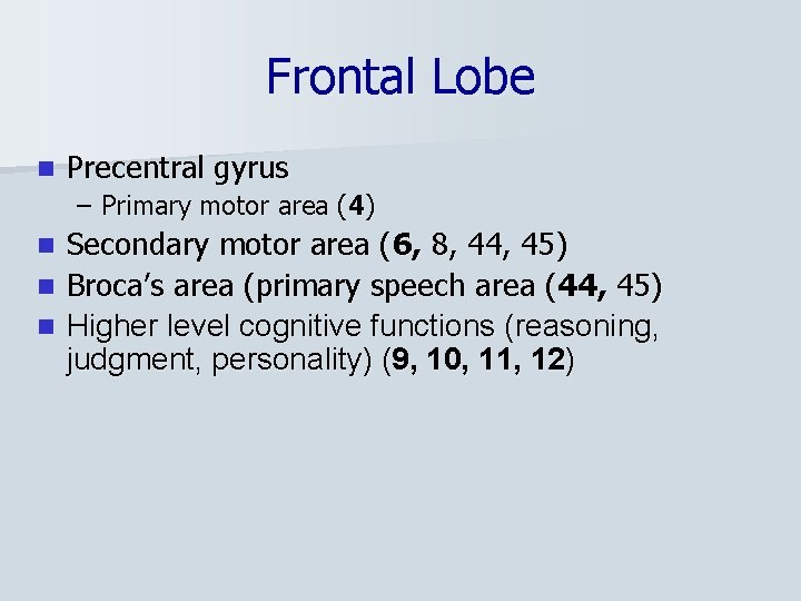 Frontal Lobe n Precentral gyrus – Primary motor area (4) Secondary motor area (6,