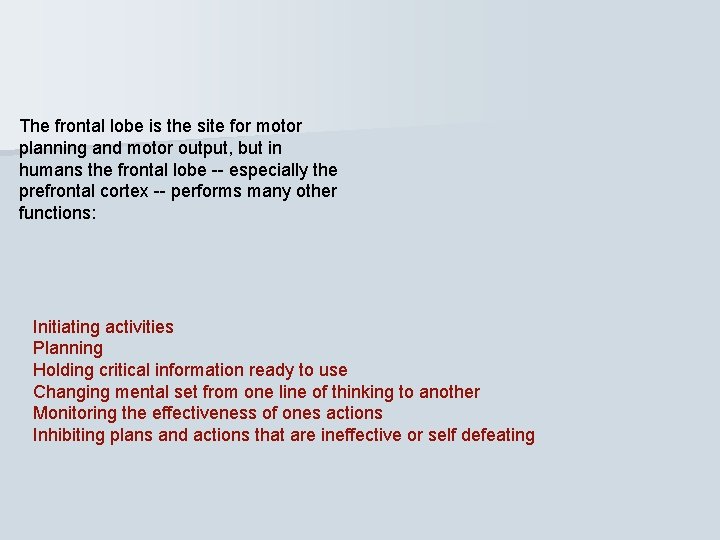 The frontal lobe is the site for motor planning and motor output, but in