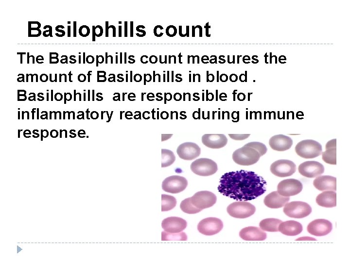  Basilophills count The Basilophills count measures the amount of Basilophills in blood. Basilophills