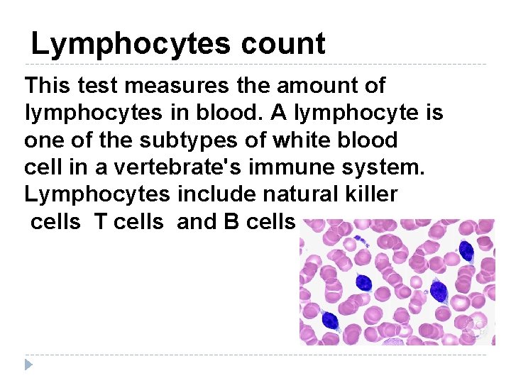Lymphocytes count This test measures the amount of lymphocytes in blood. A lymphocyte is