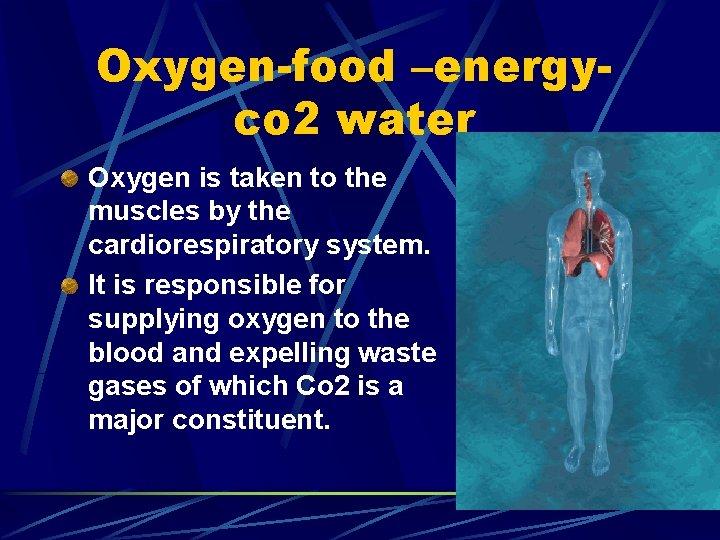 Oxygen-food –energyco 2 water Oxygen is taken to the muscles by the cardiorespiratory system.