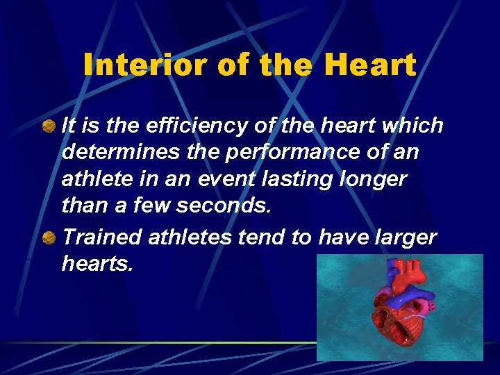 Interior of the Heart It is the efficiency of the heart which determines the