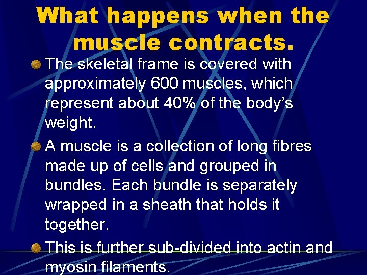 What happens when the muscle contracts. The skeletal frame is covered with approximately 600